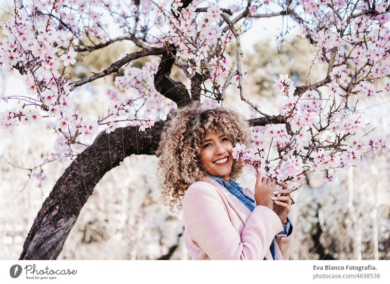 portrait of beautiful hispanic woman with afro hair in spring among pink blossom flowers. nature close up almond tree colorful curly hair lifestyle young