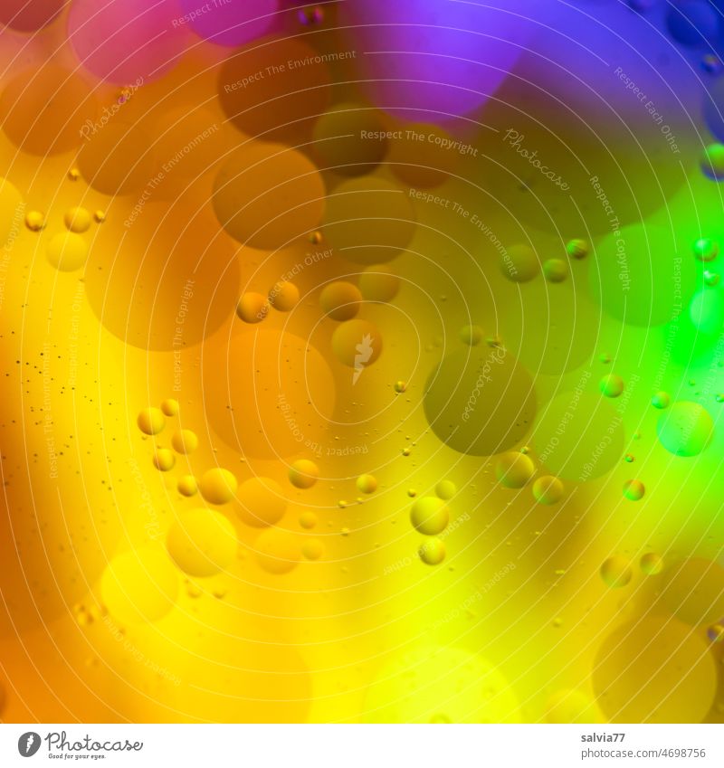 round and colorful square Decoration colourful variegated Colour Background picture Abstract Structures and shapes Design Pattern Art Multicoloured circles