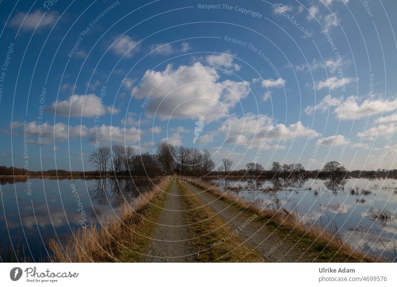 High water in the Teufelsmoor near Worpswede Sun Calm Nature Bog Germany Vacation & Travel idyllically Landscape Peaceful Beautiful weather Osterholz-Scharmbeck