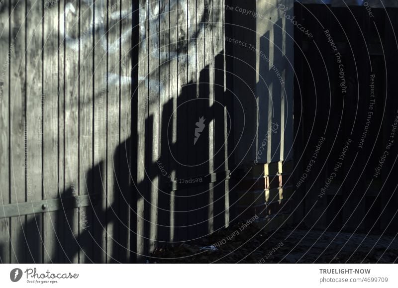 Fence shade without guests lattice fence Shadow Sunlight Diagonal Divide Border demarcation Contrast Black light gray laths Wooden fence Garden fence Light