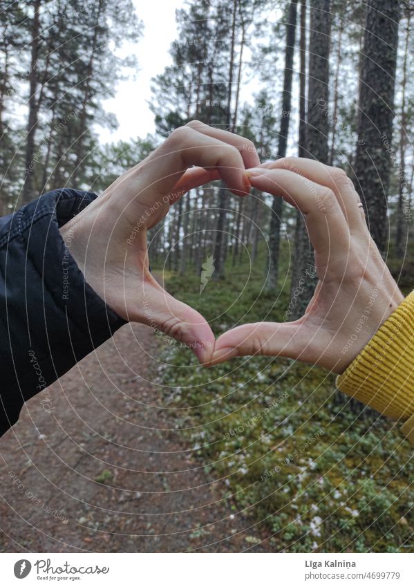 Man and woman making heart sign with hands in outdoors Hands Heart Love Heart-shaped romantic Display of affection Romance Valentine's Day heart-shaped