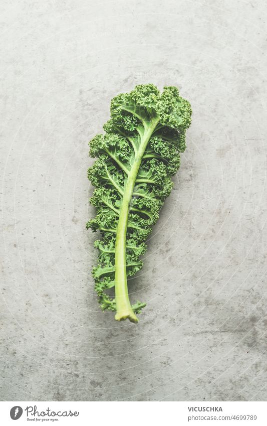 Green raw kale leaf at grey concrete kitchen table. green healthy seasonal winter vegetable. top view cooking preparation cabbage background food fresh