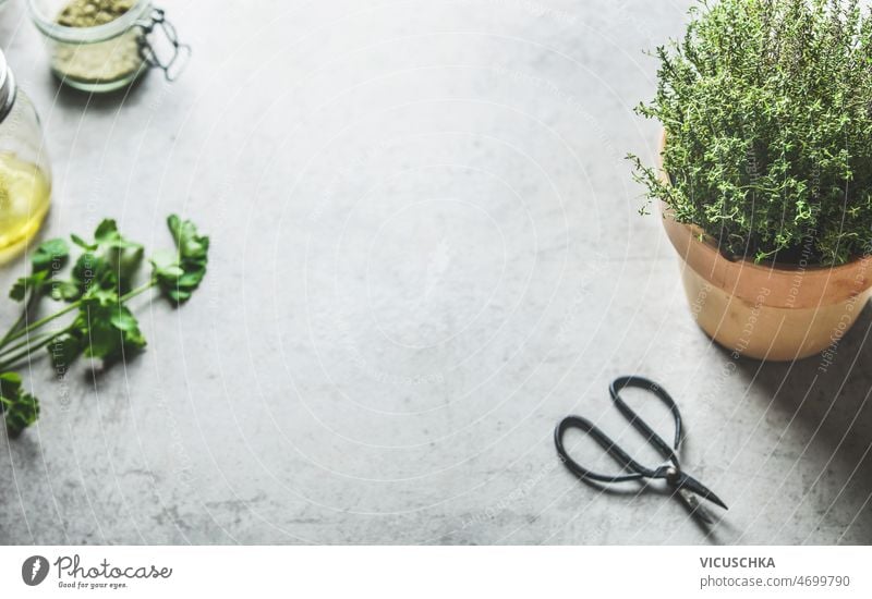 Kitchen herbs background with potted thyme, parsley leaves and kitchen scissors grey concrete table cooking preparation fresh herbs top view food healthy home