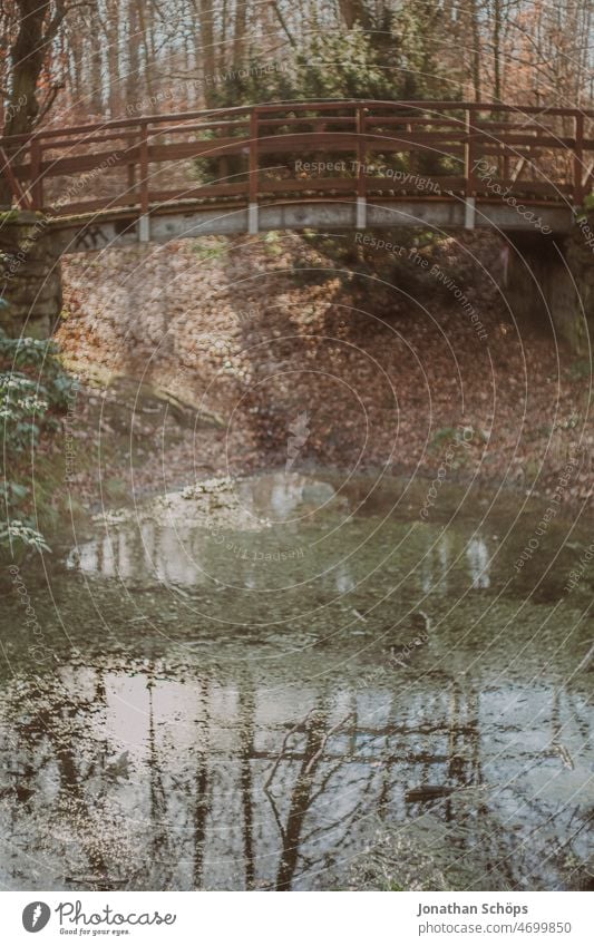 Bridge in forest reflection in pond Reflection Lake Pond Meadow Tree Forest Rain Rainwater Bleak Winter Wet Water Exterior shot Weather Nature Sky Colour photo