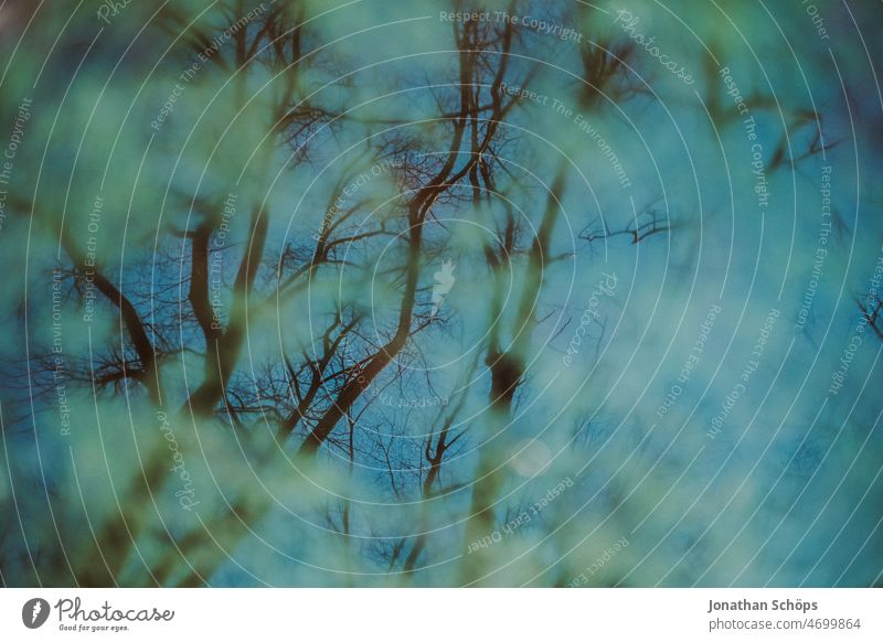 Tree reflection in flooded meadow Reflection Meadow Puddle Forest Wet Rain Rainwater Deluge Bleak Winter Blue Green Water Exterior shot Weather Nature Sky