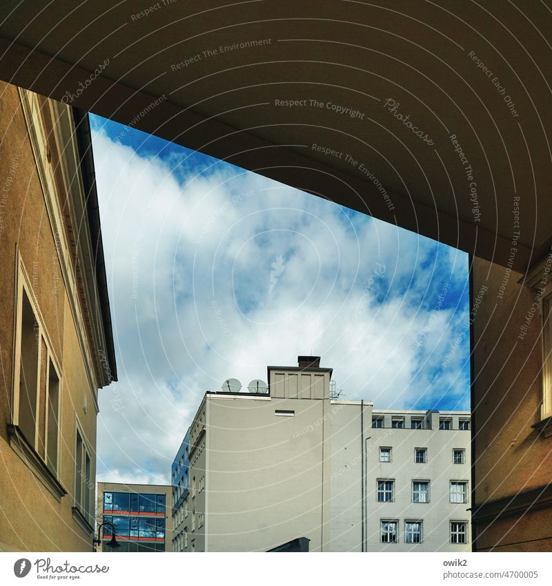 Open throughout Town Downtown High-rise Backyard Wall (building) Wall (barrier) Facade Window Detail Exterior shot Deserted Colour photo Copy Space top