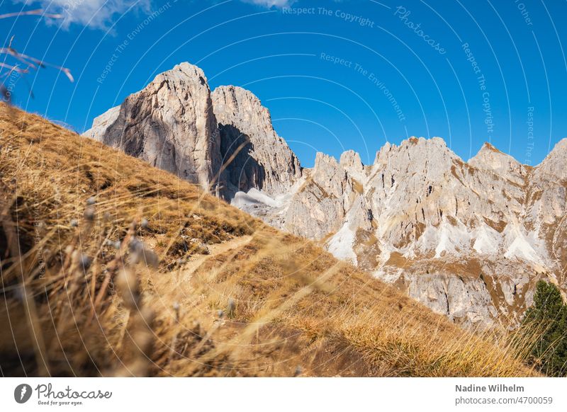 View of the Cigolade Pass Rose garden Dolomites Passo delle Cigolade Italy mountain Hiking Mountain Nature Alps Landscape Europe Tourism travel Peak Summer