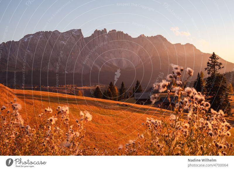 View of Latemar latemar Dolomites Rose garden South Tyrol Trentino Mountain Italy Landscape Alps Nature Tourism Hiking Europe Summer Peak Sky pretty travel