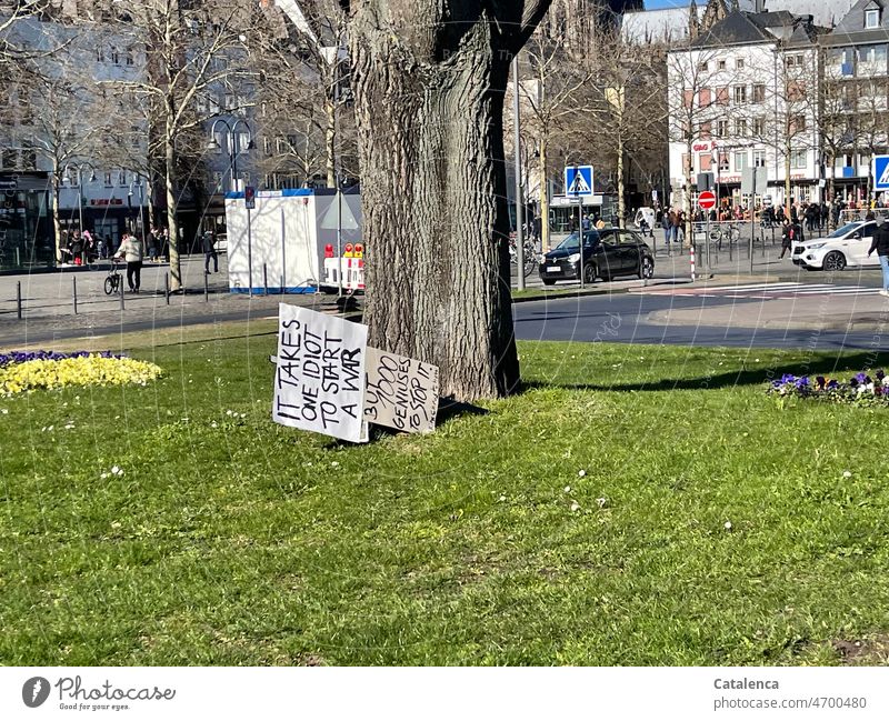 Discarded demo sign Nature Town Street trees Plant cardboard box Demo sign filed Grass Beautiful weather Car Day daylight Green Gray Building