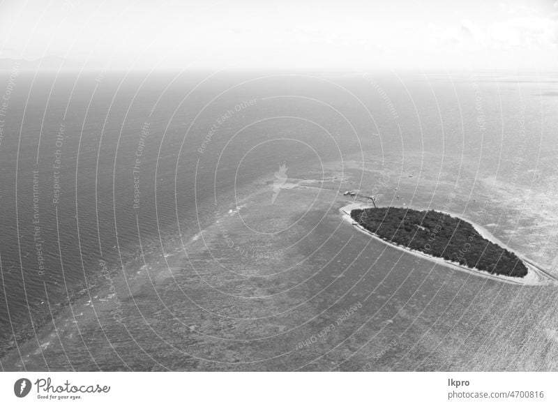 the great reef from the high view barrier sea aerial colored angle sky landmark nature australia coral tropical above island queensland blue water outdoors