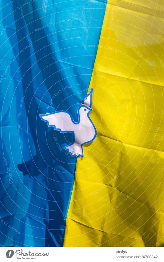 Flag of Ukraine in national colors with a dove of peace flag Dove of peace Peace message War War of aggression Longing for peace peace symbol Ukraine flag