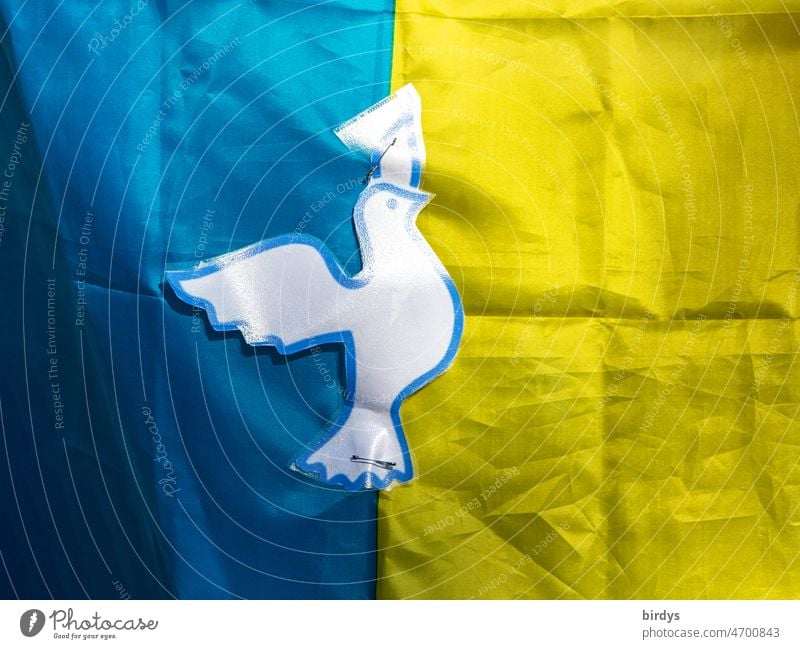 Flag of Ukraine in national colors with a dove of peace flag Dove of peace Peace message War War of aggression Longing for peace peace symbol Ukraine flag