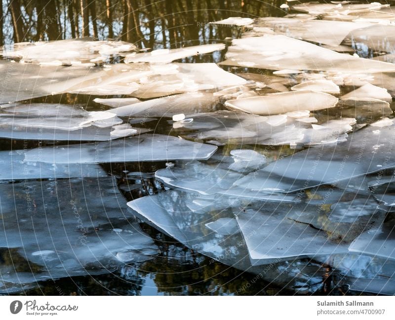 Ice slabs on a body of water Winter Winter mood ice plates ice floes icily Frost chill freezing cold winter Body of water River Lake Frozen Exterior shot