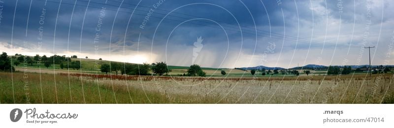 Something's pulling up Colour photo Exterior shot Copy Space top Day Panorama (View) Summer Nature Landscape Clouds Storm Gale Rain Tree Meadow Field Threat