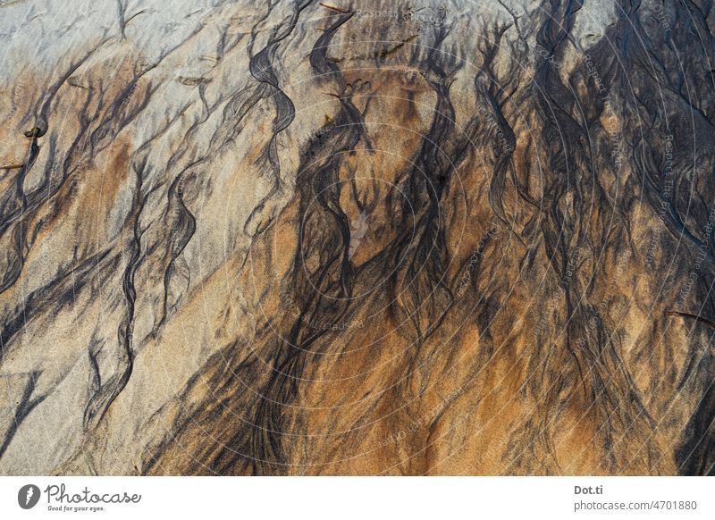 Sandy beach at low tide Beach Low tide Maritime structure Pattern Brown background Nature Exterior shot North Sea coast Tide Mud flats