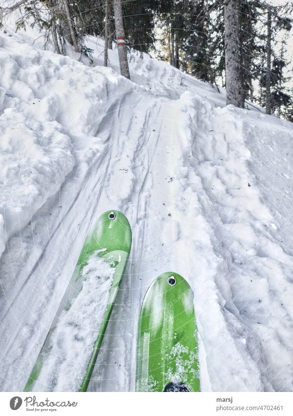 Touring ski tour through the forest. Where in summer is a hiking trail. Touring skis Winter tracks in the snow Ski tour Morning Snow Relaxation Freedom