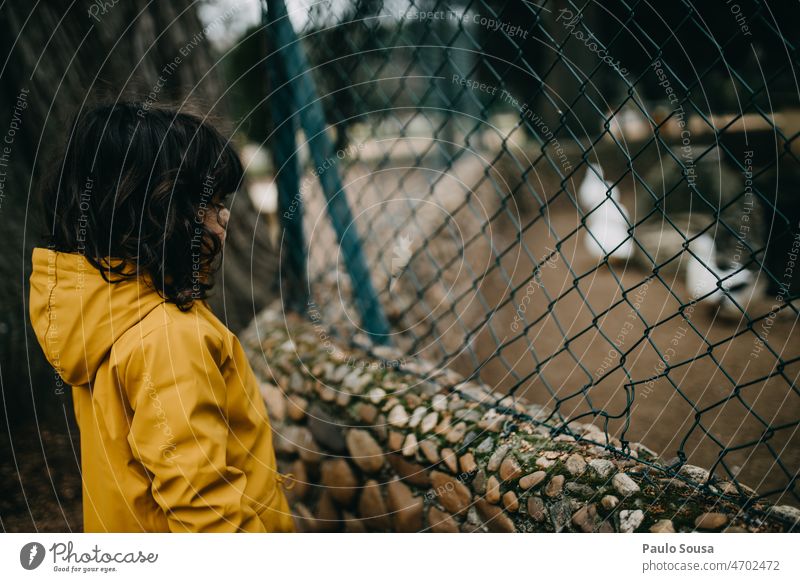 Cute girl looking at the ducks Yellow Hooded (clothing) Child childhood Girl Infancy Exterior shot Lifestyle Colour photo Joy Day Authentic Caucasian