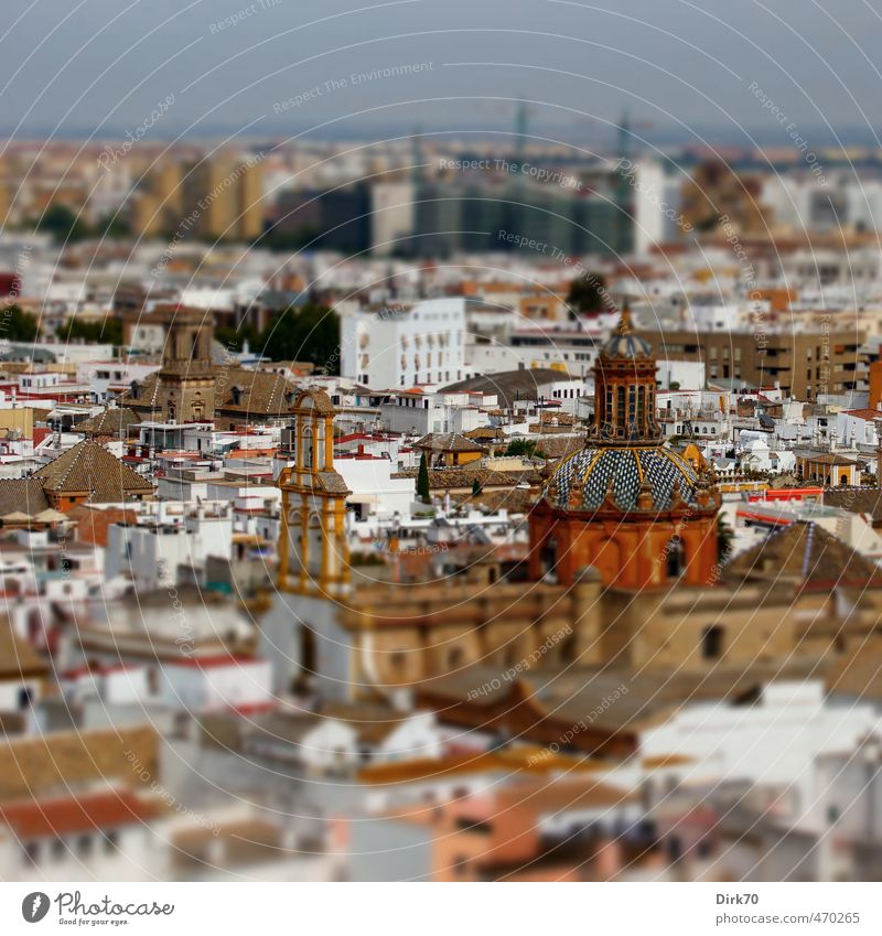 Iglesia de Santa Cruz ... Vacation & Travel Tourism City trip Seville Andalucia Spain Town Downtown Old town House (Residential Structure) Church