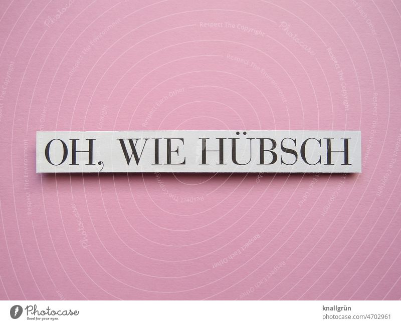 Oh how pretty Emotions Exclamation Surprise Joy Happiness Positive Fallen Letters (alphabet) Characters Communicate Signs and labeling Colour photo