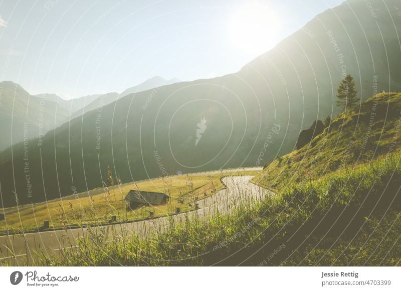 high alpine road Street Roadside Curve curvaceous winding road Alps Exterior shot Pre-alpes Alpine pasture