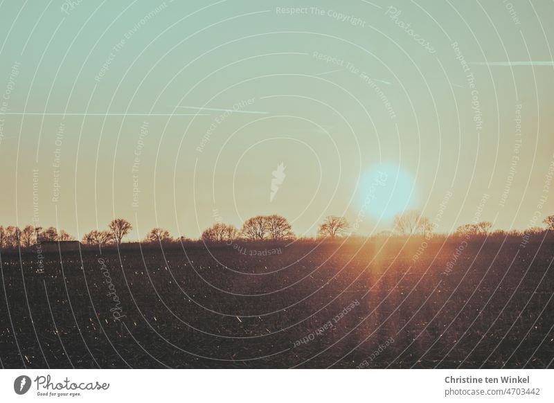 Sunset over still uncultivated field and bare trees in background Sunlight Sunbeam pretty acre Field Row of trees Sunrise Winter Warm light Landscape Nature