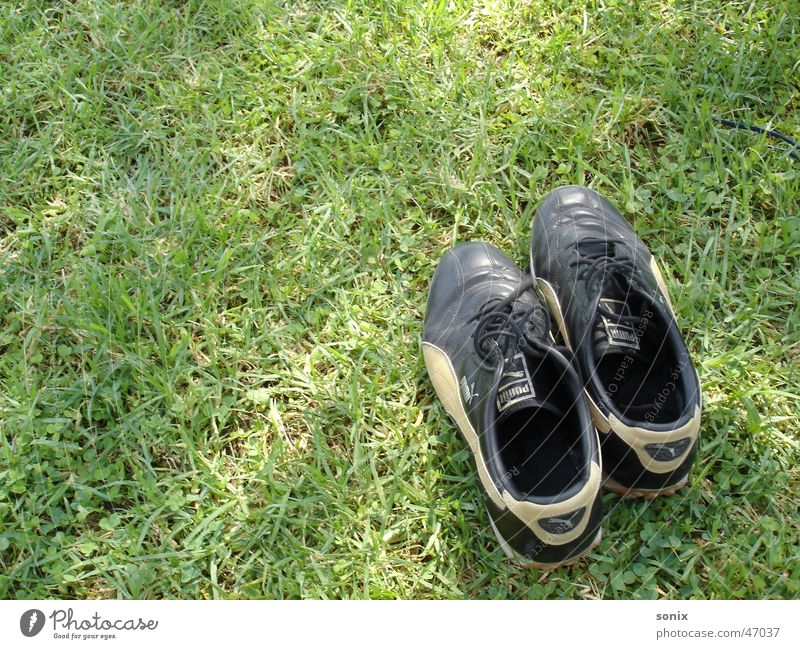 solitary Footwear Meadow Grass Green