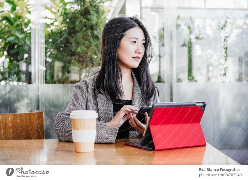 professional chinese entrepreneur woman working on laptop in cafeteria. Technology, lifestyle asian technology coffee tablet oriental business mobile phone