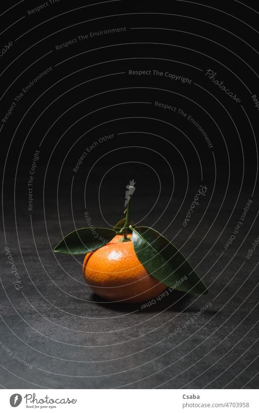 Fresh tangerine with leaves on dark background Mandarin Tangerine clementine Orange Citrus fruits Fruit Copy Space clementina Citrus reticulata Citrus tangerine