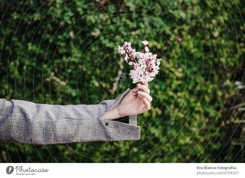 unrecognizable woman holding almond tree flowers over green background, nature and spring time hand chinese portrait city asian oriental young adult blossom day