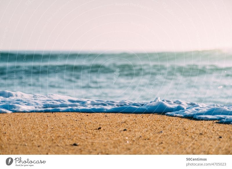 White waves on deserted beach Vacation & Travel Leisure and hobbies Surfing Trip Freedom Far-off places Adventure Summer Summer vacation Landscape Calm