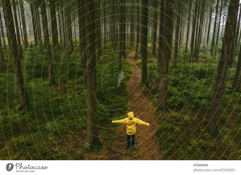 Young man standing on a tree trunk in the forest watching to the tree tops in a yellow rain coat - view from a drone autumn raincoat evil fairytale fear hike