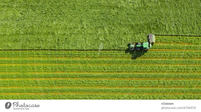 Harvesting hay in autumn from a meadow Aerial top view, drone shot harvest grass field agriculture aerial seed background above cereal combine corp country