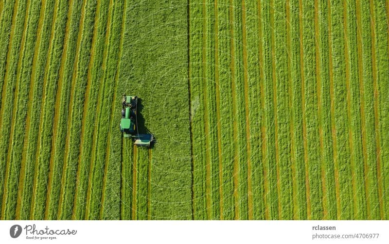 Harvesting hay in summer. Combine harvester of an agricultural machine collects ripe grass on the field. View from above. agriculture aerial drone meadow autumn