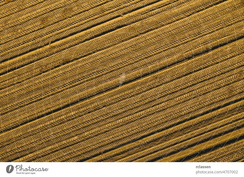 shapes of agricultural plowed field prepared for planting. Aerial view shoot from drone directly above field aerial soil corn dirt agriculture agronomy arable