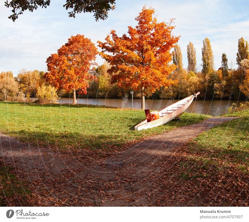 Dragon boat on the river bank in autumn Canoe River Water Watercraft Colour photo Leisure and hobbies Exterior shot Autumn Aquatics Orange Nature Adventure