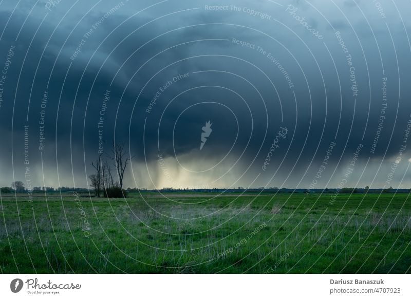 Cloud with rain over the meadow and lonely trees cloud field grass weather sky nature landscape rural summer green countryside blue agriculture background