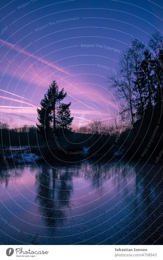 Twilight on winter evening on a lake with silhouettes trees and reflection Winter Tree Sky Lake Silhouette Holiday season Nature Landscape Dusk Ice Frozen