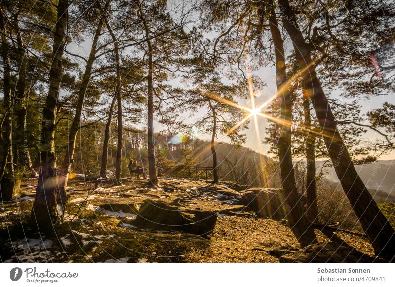 Winter landscape in forest with couple sitting on bench at sunset in golden light, Mullerthal, Luxembourg Sun Forest golden hour Sunset Snow travel Landscape