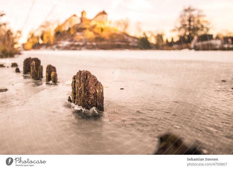 old rotten wooden piles on frozen lake in golden light, Bad Iburg, Germany Lake Winter Ice Wood Pole Frozen Nature Landscape background Snow Horizon Sky