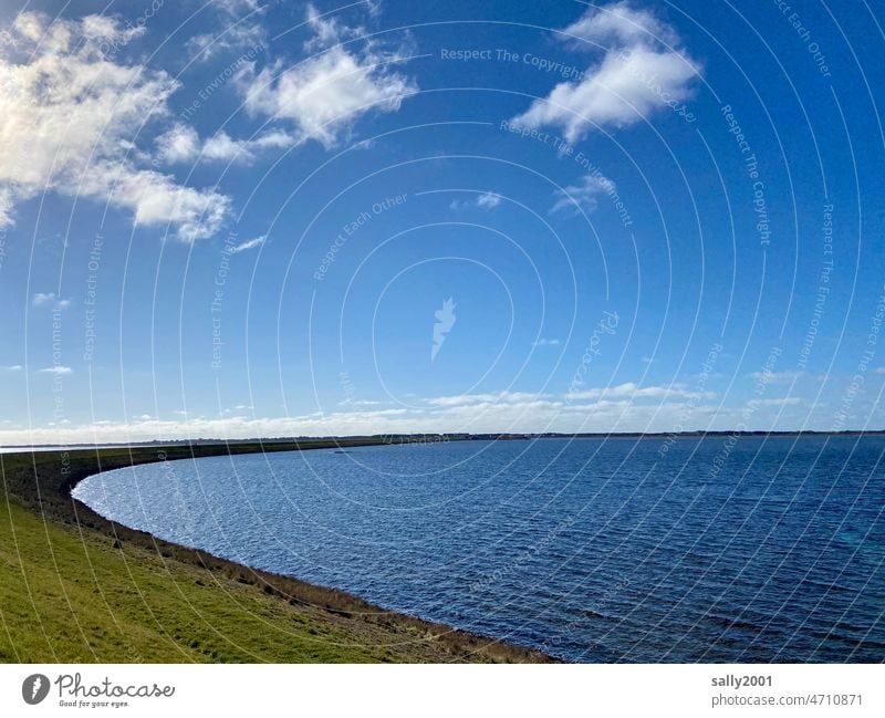 North Sea in blue Ocean Bay Dike Blue Smooth little cloud Sylt Rantum Basin Beautiful weather Deserted Vacation & Travel Nature coast Island Mud flats