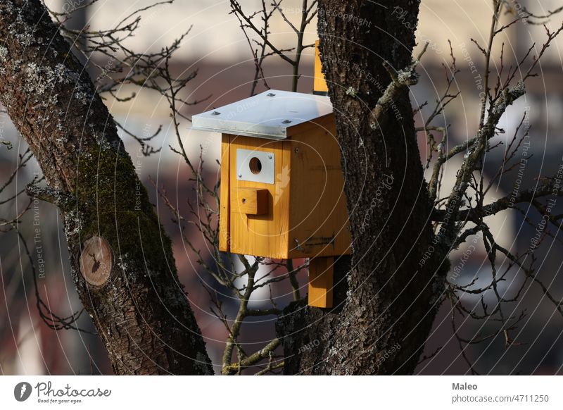 A wooden birdhouse hangs from a tree animal beauty box branch bright cabin care colorful construction craft cute door forest garden green handmade hanging