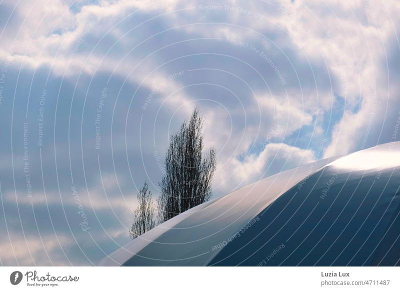 Pavilion roof reflects the blue sky full of clouds, behind it some still bare branches Blue Sky sky blue Sky blue Clouds Bleak bare trees Roof Light Winter Cold