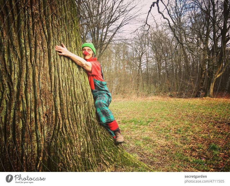 [Clown+Fun-Tour HH2022] Cute clingy burdock warming itself on tree Humor Funny Tree trunk Oak tree Embrace Love Smiling Green Forest Nature Exterior shot