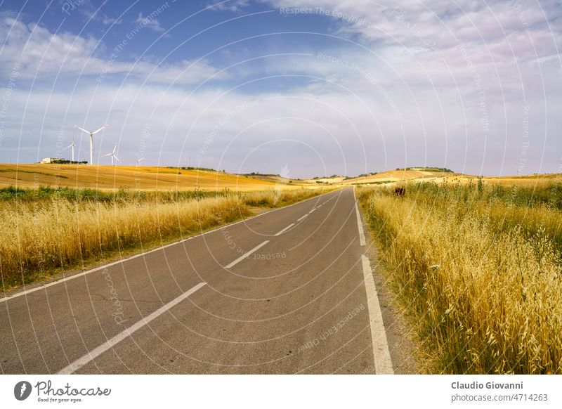 Country landscape near  Matera and Gravina di Puglia Basilicata Europe Italy agriculture bale color country day field nature outdoor photography road rural