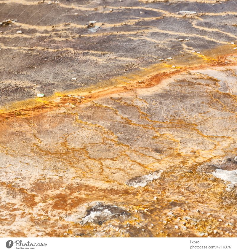 in  ethiopia africa  the volcanic  lake closeup dallol danakil unique afar depression salt crater ale erta hot tourism colorful nature landscape stone pole