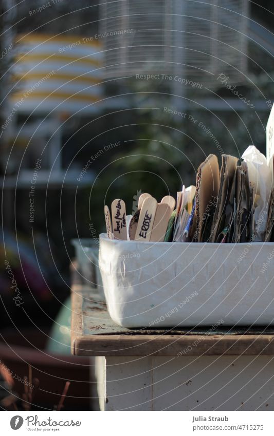 Planting table with pottery seed tray in spring light plants Gardener Greenhouse Table pottered Bowl Lampshade solar Planning self-catering self-sufficiency