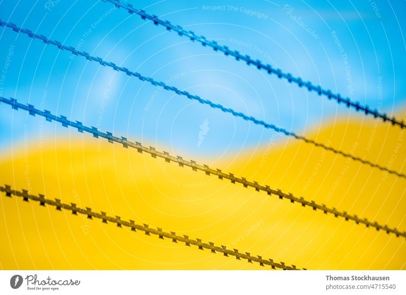 barbed wire and colors of ukrainian flag as symbol for refugees by russian invasion in Ukraine background blue border boundary concept copy space danger