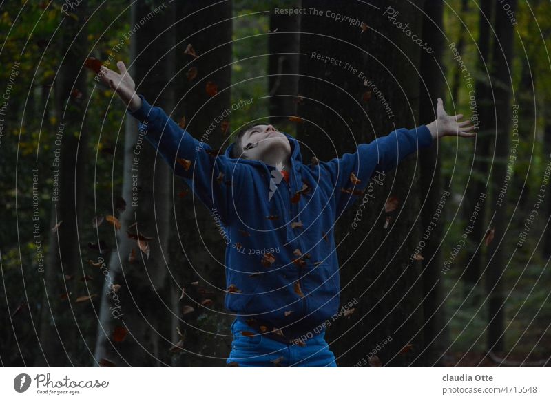 Male teenager in autumn forest throws leaves in the air masculine Forest Autumn Dark trees Nature spiritually Boy (child) foliage