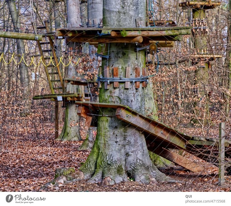 Climbing trees for small and large adventurers Tree Ladder parcour challenge Exterior shot Wood construction climbing scaffold Playground Climbing equipment