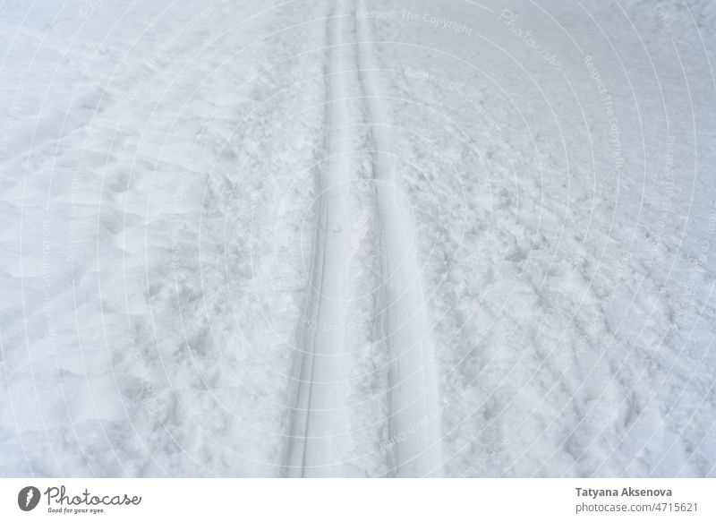 Ski track at winter forest snow ski nature tree white sport estonia outdoor landscape frost frozen cold trail recreation weather north covered road empty